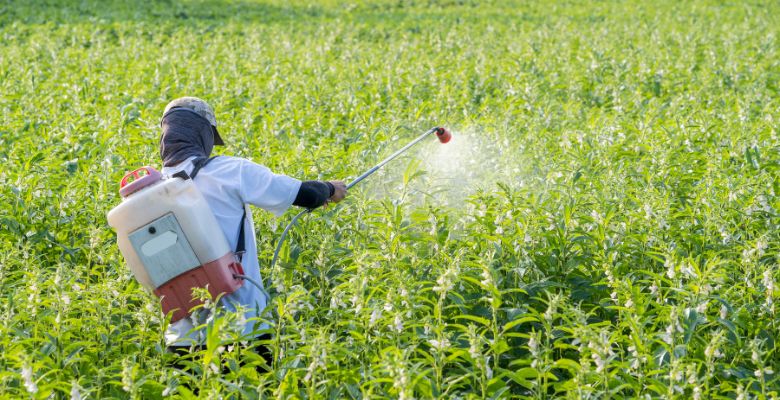 pesticidas na infância